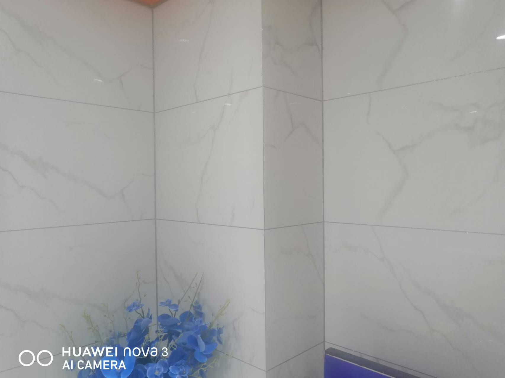 朗途通体大理石墙面砖 LTP48T019PA 40*60 片