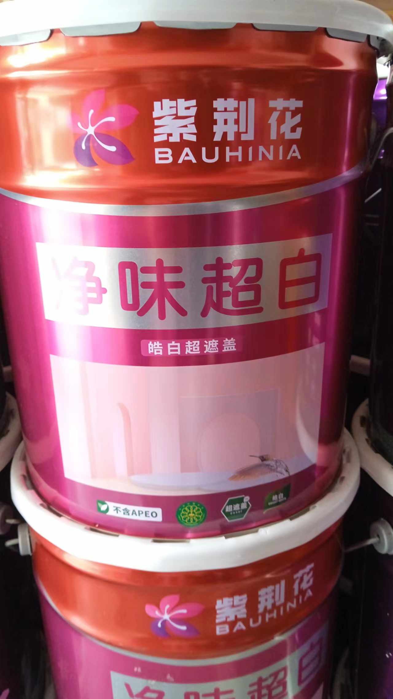 紫荆花净味超白 25 kg 可调