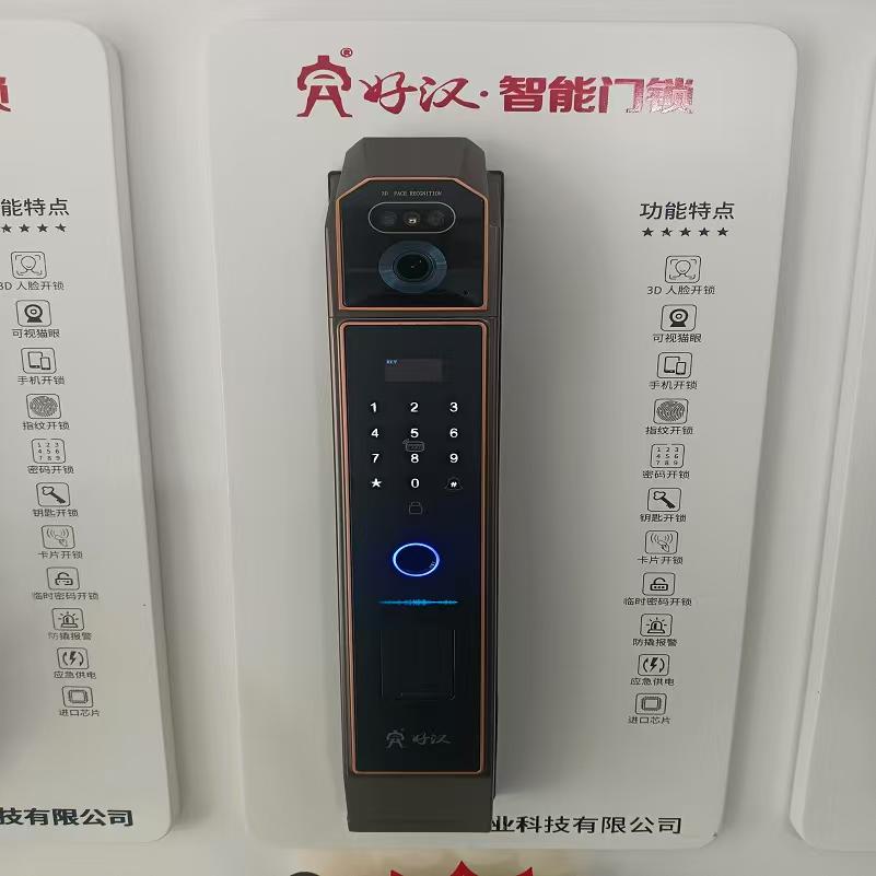 好汉智能锁 北斗10号 把 古红