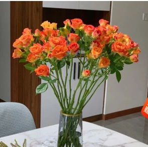 单枝多头玫瑰精美生活鲜花任意 搭配(不含花瓶)七十起送玫瑰 花一支玫瑰花一朵玫瑰花1朵
